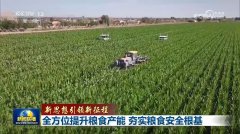 业出产的耕、种、管、收各个环节